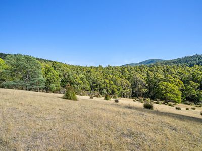 Lot1, Devlyns Road, Birchs Bay