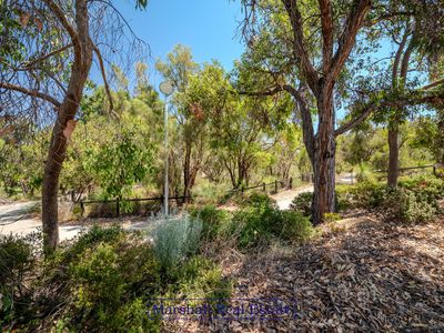 43 Cuddlepie Turn, Banksia Grove