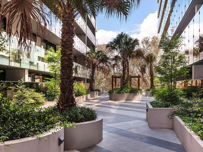 221 / 20 Shamrock Street, Abbotsford