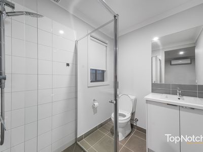 7 Platypus Chase, Beveridge