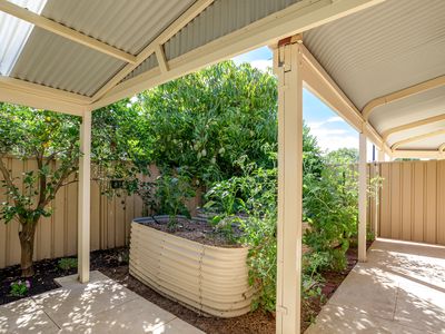 15 Packenham Promenade, Canning Vale
