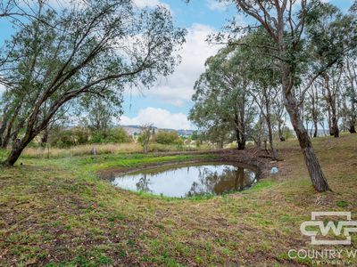 5 Chandler Lane, Glencoe