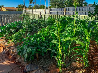 67 Acacia Way, South Hedland