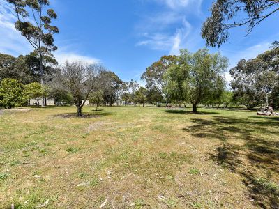 167 Williams Road, Millicent