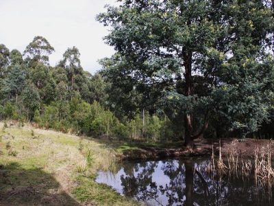 156 Kalonga Road, Nicholls Rivulet