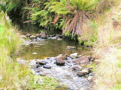 Donnelly's Road, Geeveston