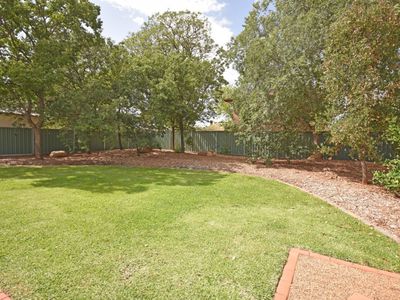 117 Cobra Street, Dubbo