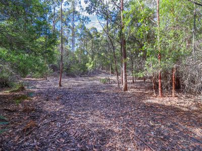 Lot 1, Link Road, Lonnavale