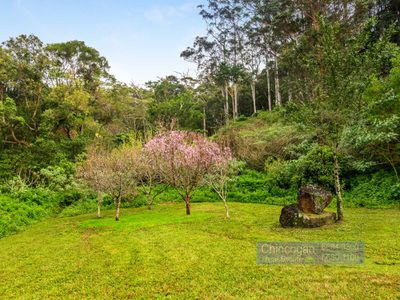 167 Goonengerry Mill Road, Goonengerry