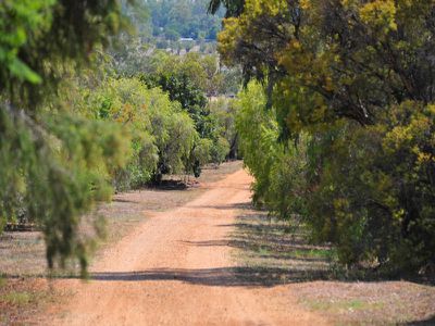103-105 Kamilaroi Road, Gunnedah