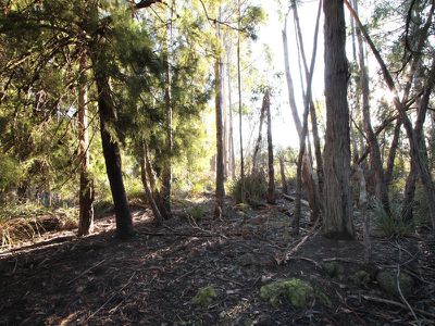 Lot 1, 466 Abels Bay Road, Abels Bay