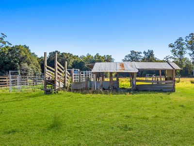 1 Morilla Place, Beechwood