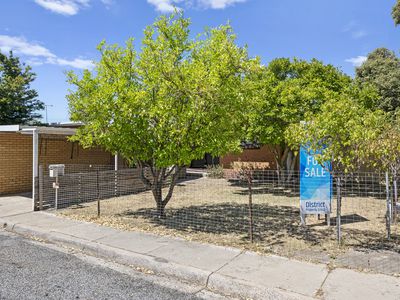 6 Parwanoff Street, Mansfield