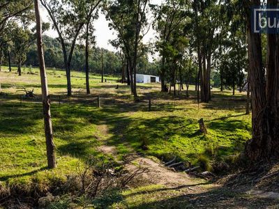 473 Switchback Road, Mudgegonga