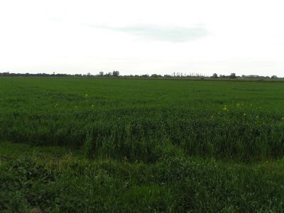 Tullakool