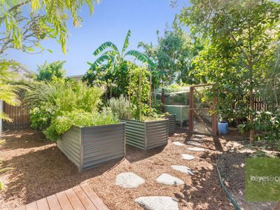 10 Cashmere Court, Annandale