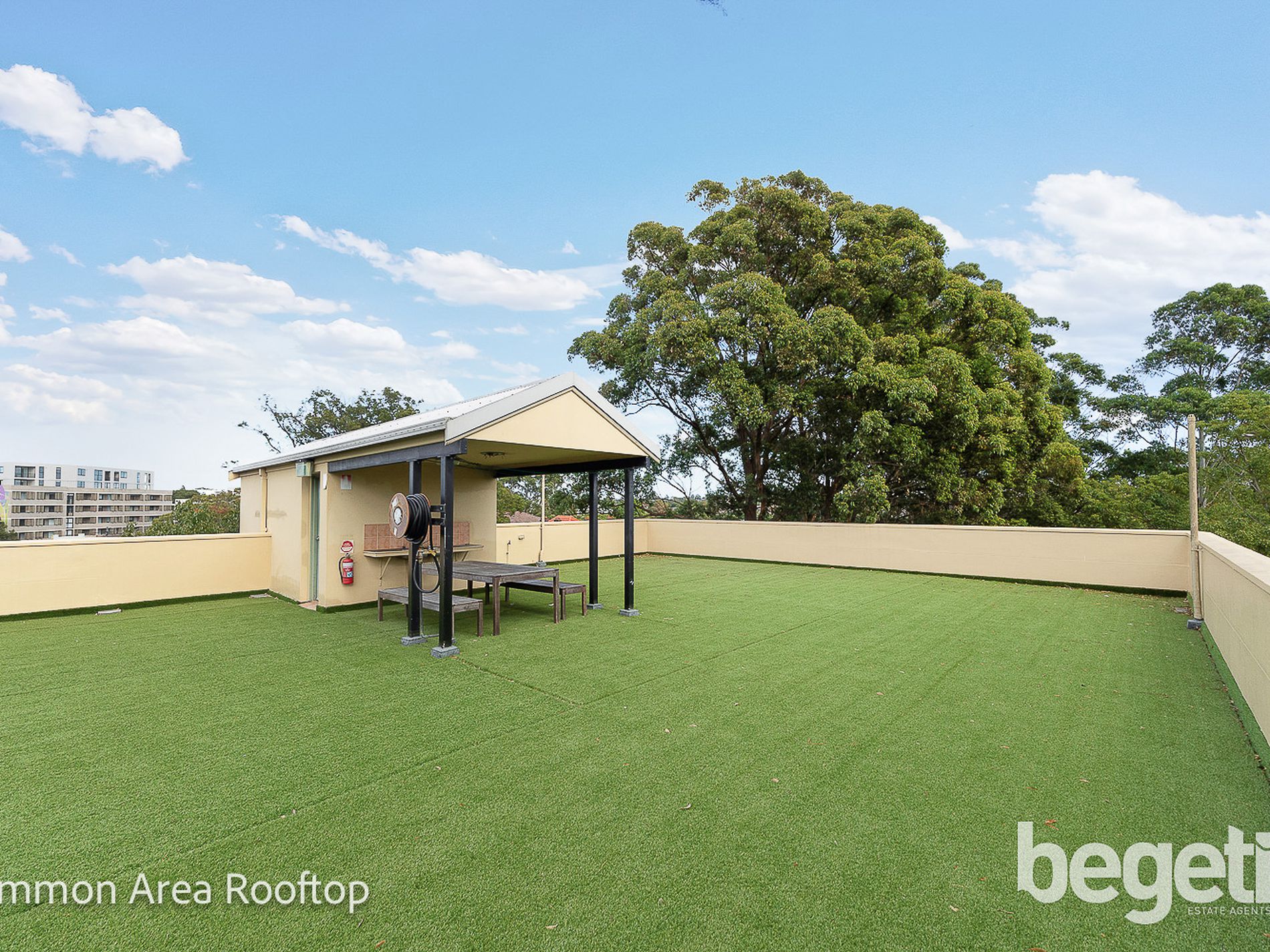 16 / 8 Cavill Avenue, Ashfield