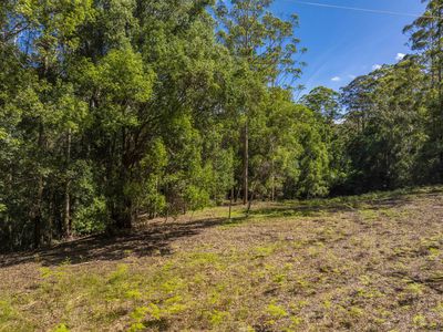 80 Robb Road, Lillian Rock
