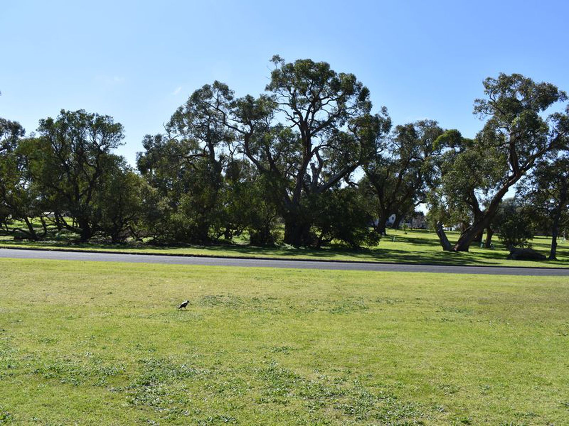 2 Hart Street, Millicent