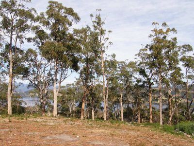 237A Graces Road, Glaziers Bay