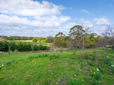 34 Elphinstones Road, Calder