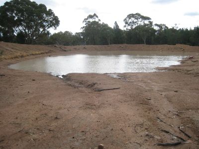 215L 215L Narromine Road "BandyWallop", Dubbo