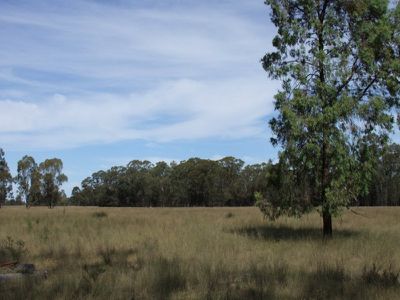 4096 Goolhi Road, Gunnedah