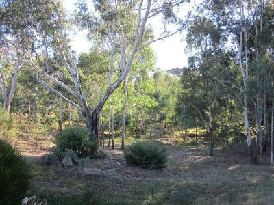 510 Spring Flat Road, Heathcote