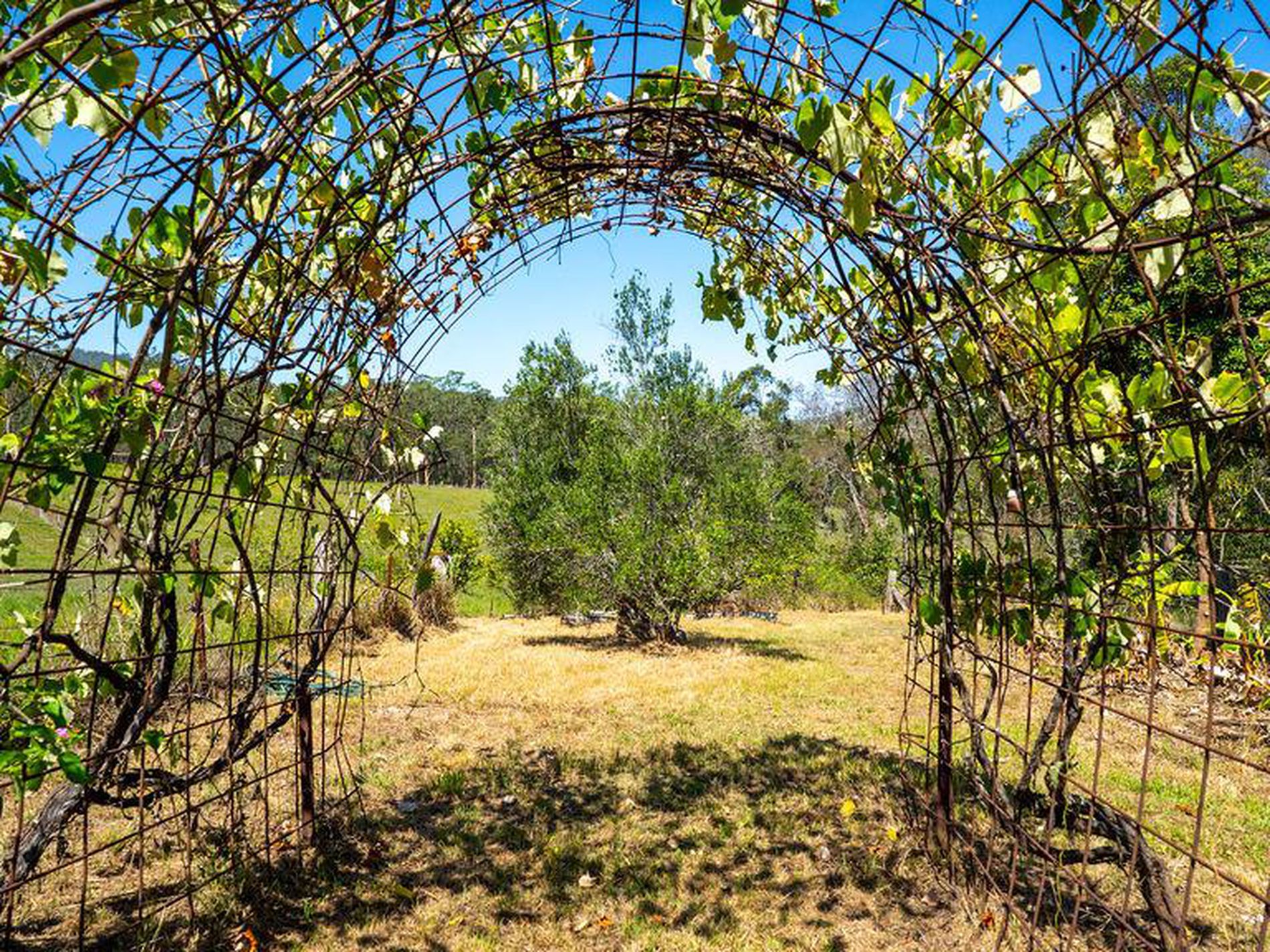 499 Avalon Road, Dyers Crossing