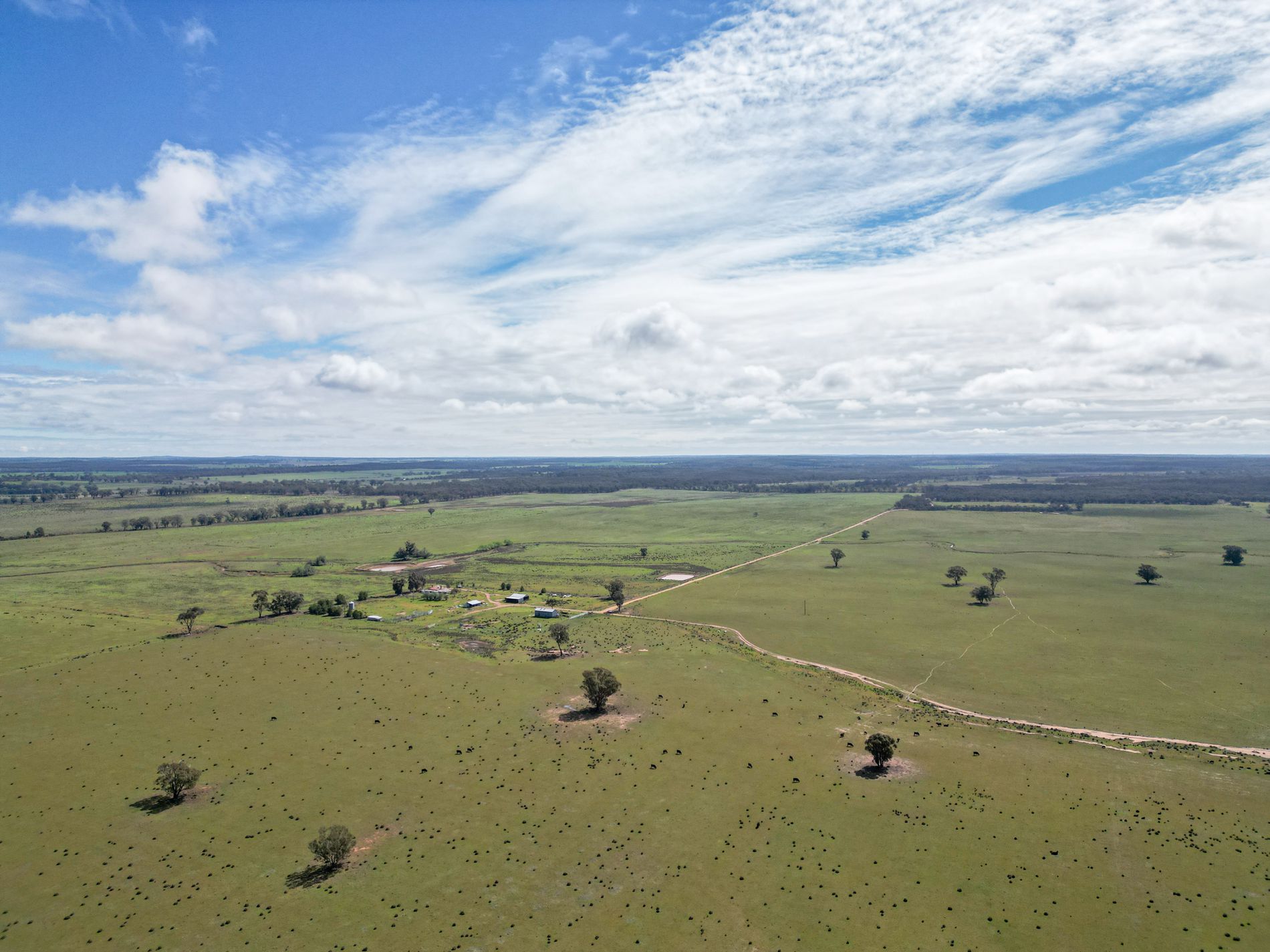 ' Dalmallee' 735 Charcoal Tank Road, West Wyalong