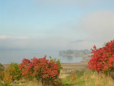 Huon Highway, Franklin