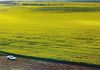 155 Claypans Road, Copeville