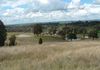 * Packham Drive, Molong