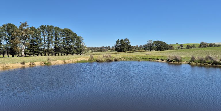 Lot 1 Longwood Ruffy Road , Ruffy