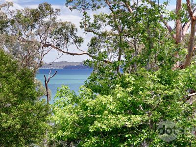 12 Eucalypt Close, Wangi Wangi