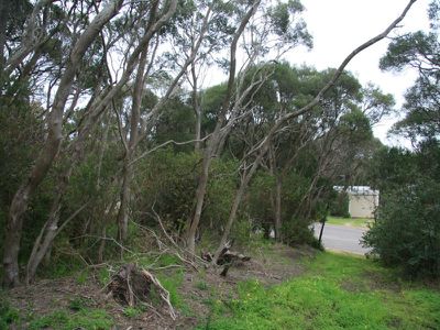 65 Murray Street, Rye