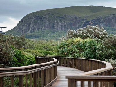 Mount Coolum