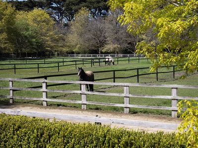 38 Syndicate Road, Mount Macedon