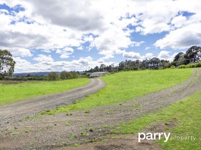 20 Pegema Place, Norwood