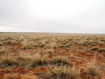 Braidwood Jundah, Longreach