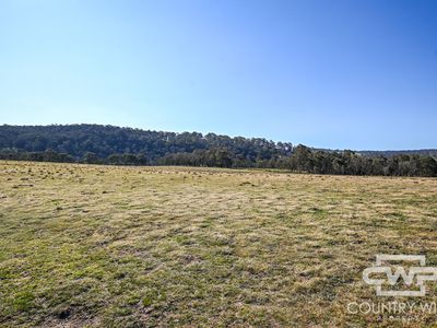 1651 Shannon Vale Road, Shannon Vale