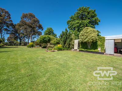 301 Bourke Street, Glen Innes