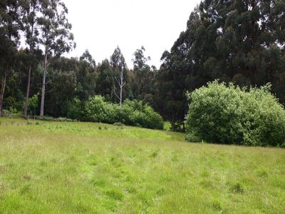 350 Harwoods Road, Geeveston