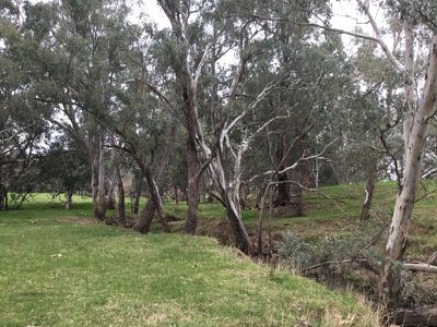 709 Indigo Creek Road, Indigo Valley