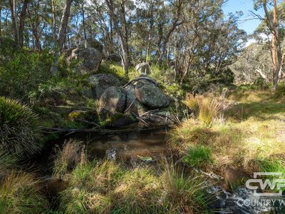 1457 Morven Road, Glen Innes