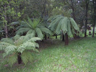 785 Mount Macedon Road, Mount Macedon