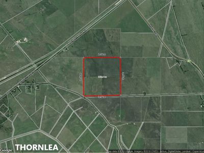 581 Mount Hope Road, Millicent