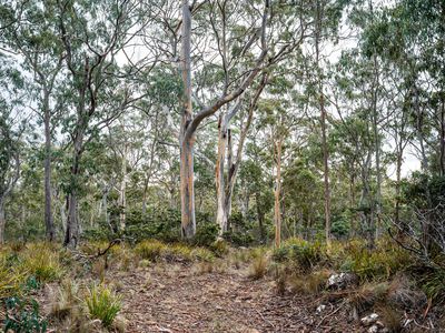'Hardings Bay Retreat', Lake Leake Road, Lake Leake