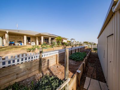 1 Wallum Close, Kingaroy