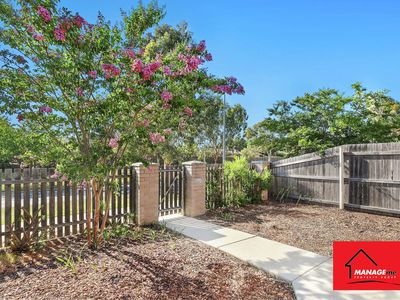 204 Kerrigan Street, Dunlop